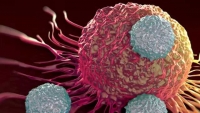 موفقيت محققان ايراني در توليد كشنده سلول‌هاي سرطاني